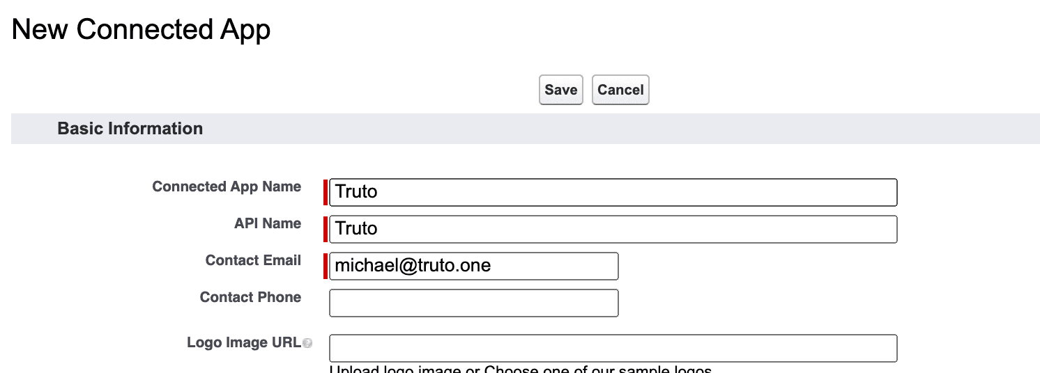 New Connected App Basic Information