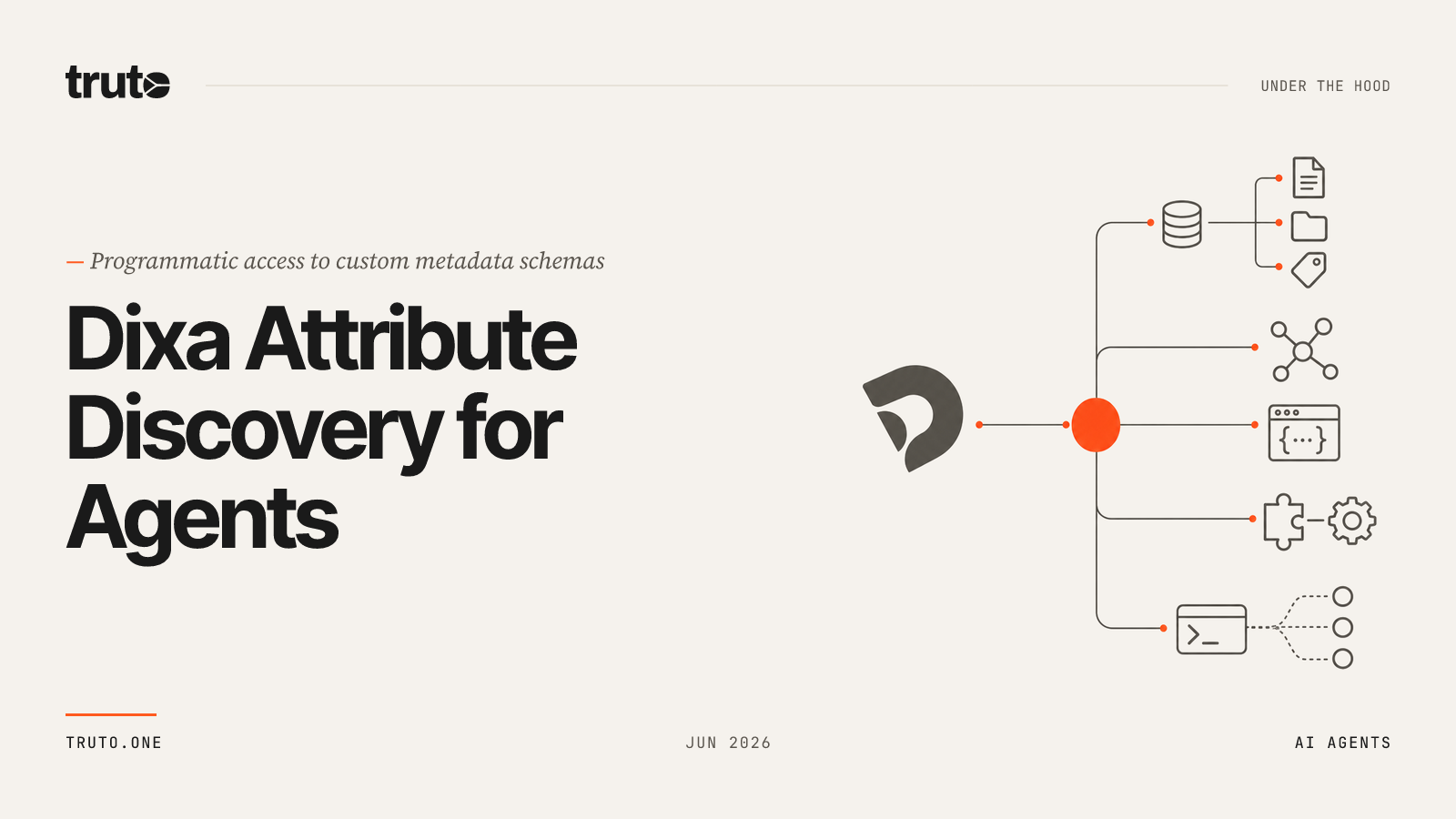 Connect Dixa to AI Agents: Automate Custom Attribute Discovery